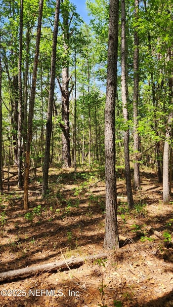 4400 Falcon Run Ln, Middleburg, FL 32068