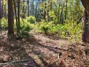 Echo St, Jacksonville, FL 32218