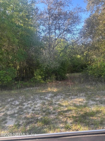 108 Tulip Ct, Hawthorne, FL 32640