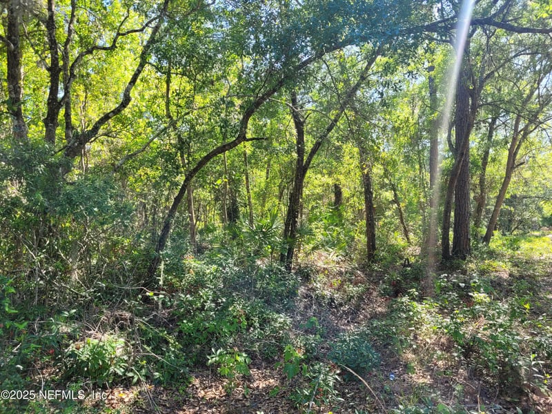 203 Southern Ave, Crescent, FL 32112