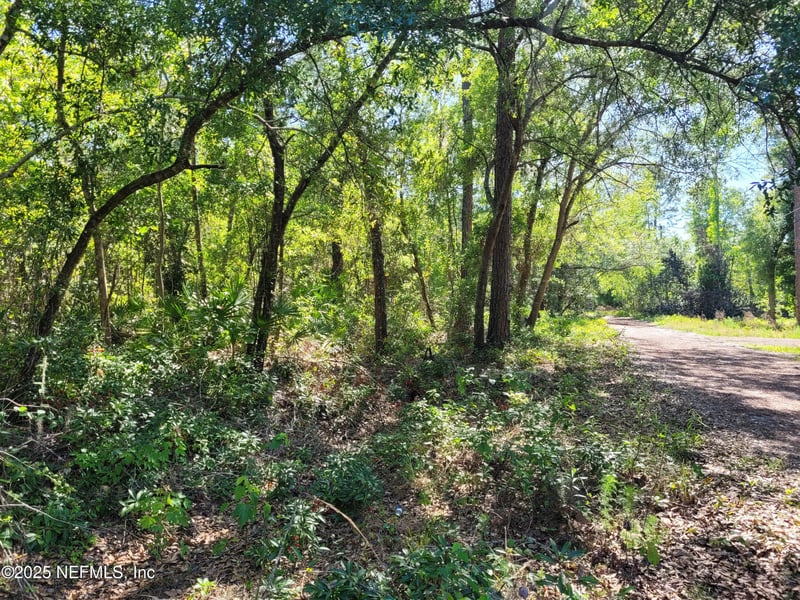 203 Southern Ave, Crescent, FL 32112