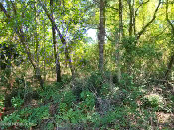 203 Southern Ave, Crescent, FL 32112