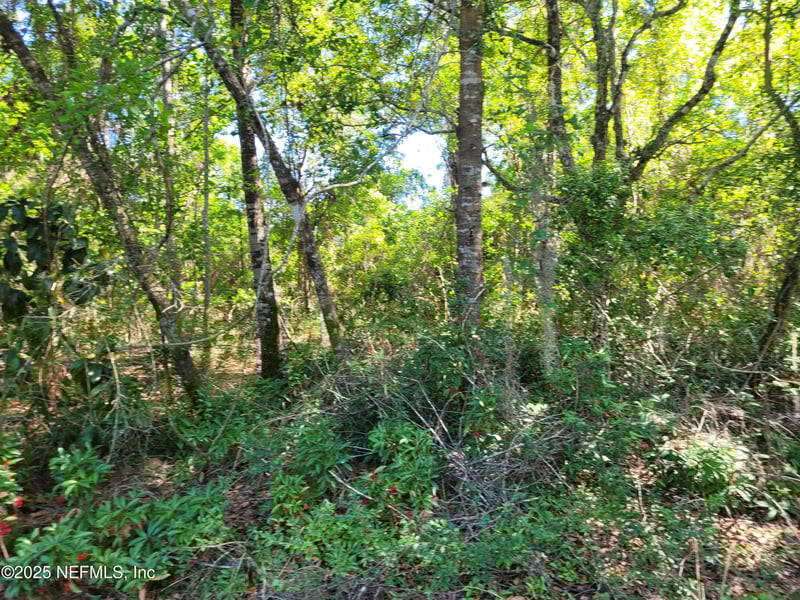 203 Southern Ave, Crescent, FL 32112