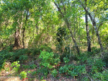 209 Southern Ave, Crescent, FL 32112