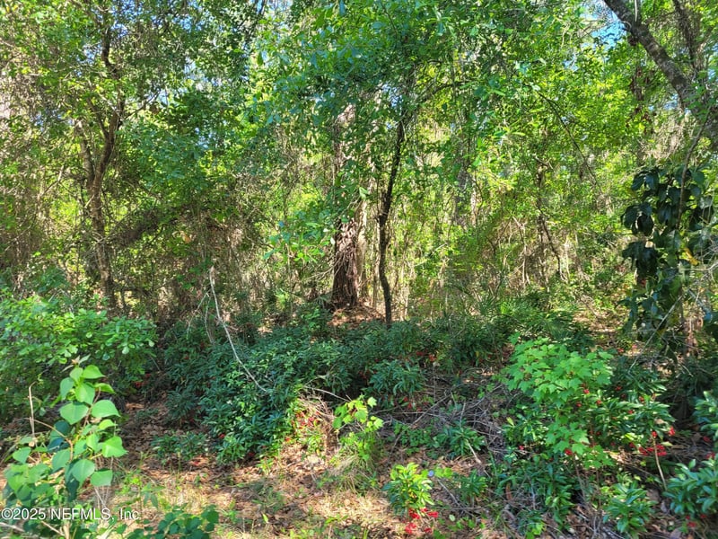 209 Southern Ave, Crescent, FL 32112