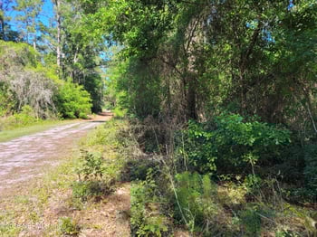 209 Southern Ave, Crescent, FL 32112