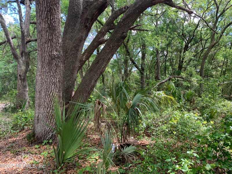 157 Oak Cir, Interlachen, FL 32148