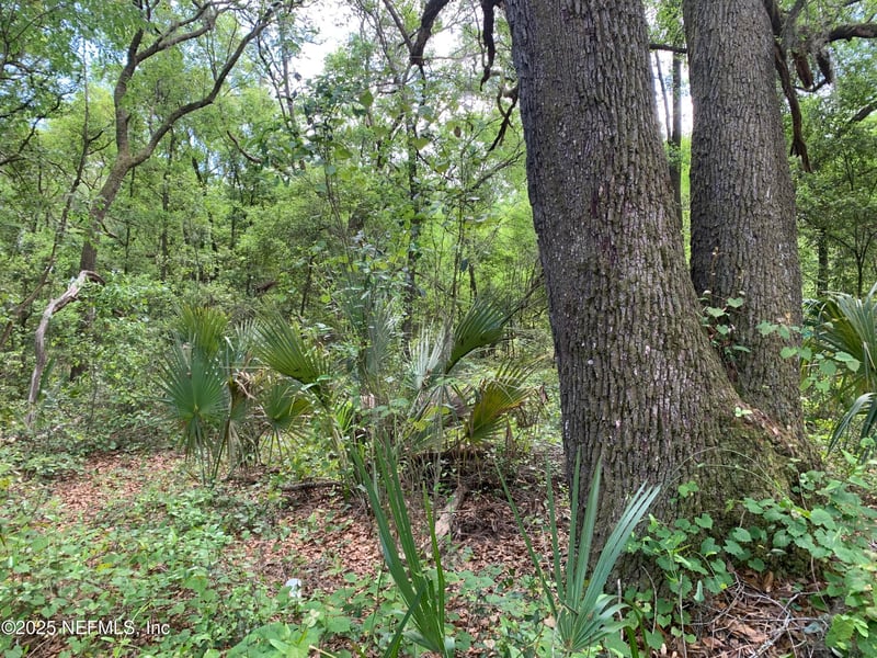 157 Oak Cir, Interlachen, FL 32148