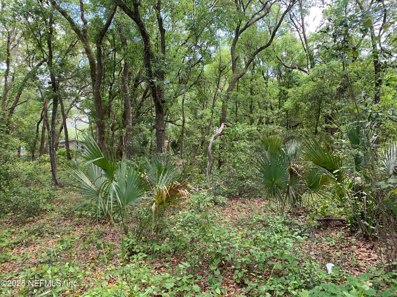 157 Oak Cir, Interlachen, FL 32148