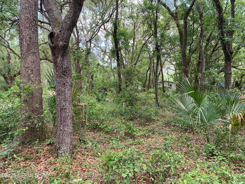 157 Oak Cir, Interlachen, FL 32148