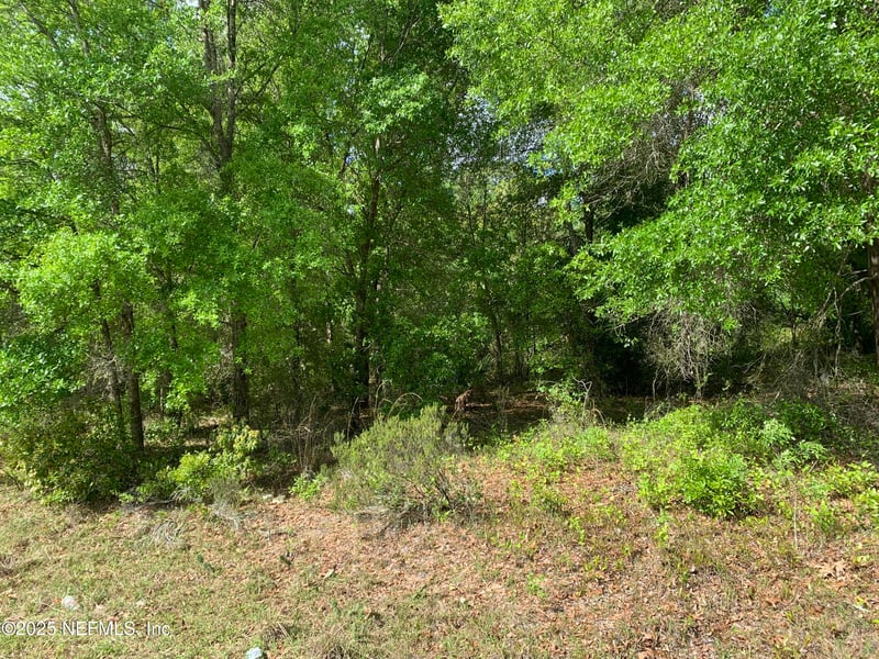 000 Istanbul St, Interlachen, FL 32148