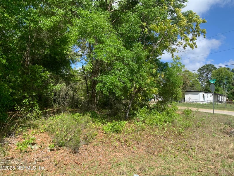 000 Istanbul St, Interlachen, FL 32148