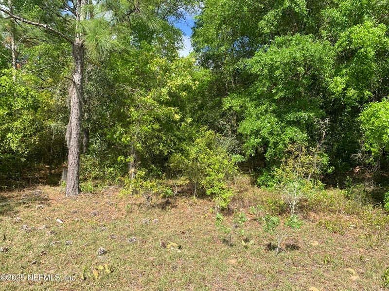 000 Istanbul St, Interlachen, FL 32148