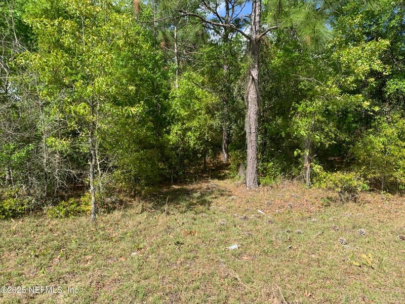 000 Istanbul St, Interlachen, FL 32148