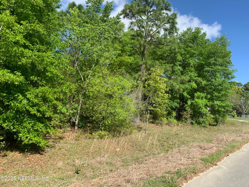 000 Istanbul St, Interlachen, FL 32148