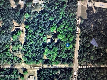 160 Lemon St, Pomona Park, FL 32181