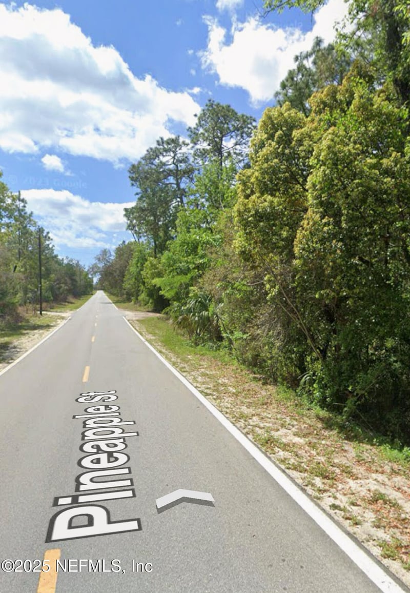 160 Lemon St, Pomona Park, FL 32181