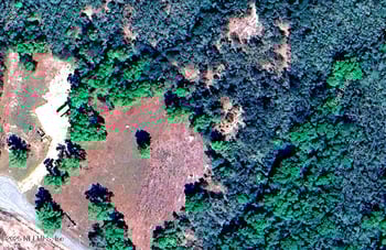 2006 Nw Thunder Rd, White Springs, FL 32096