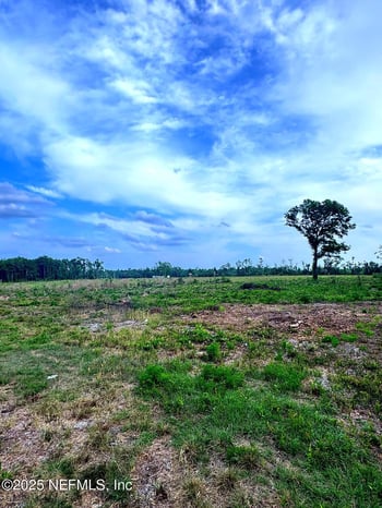 2006 Nw Thunder Rd, White Springs, FL 32096