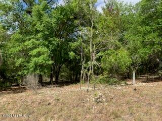 117 Central Ave, Interlachen, FL 32148