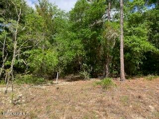 117 Central Ave, Interlachen, FL 32148