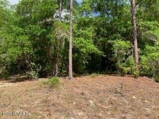 117 Central Ave, Interlachen, FL 32148