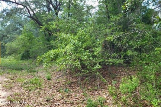 TBD Persimmon Ln, Marianna, FL 32446