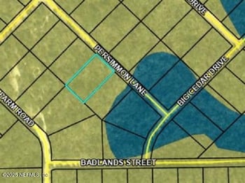 TBD Persimmon Ln, Marianna, FL 32446