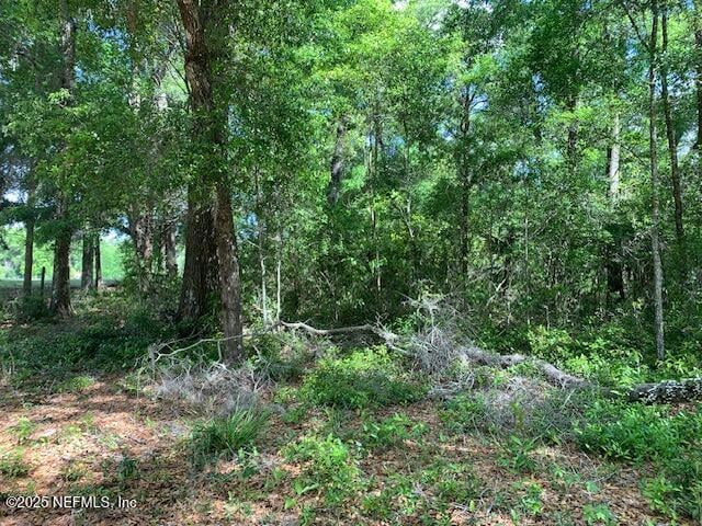 000 Dorothy St, Interlachen, FL 32148