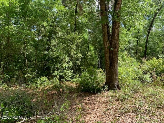 000 Dorothy St, Interlachen, FL 32148