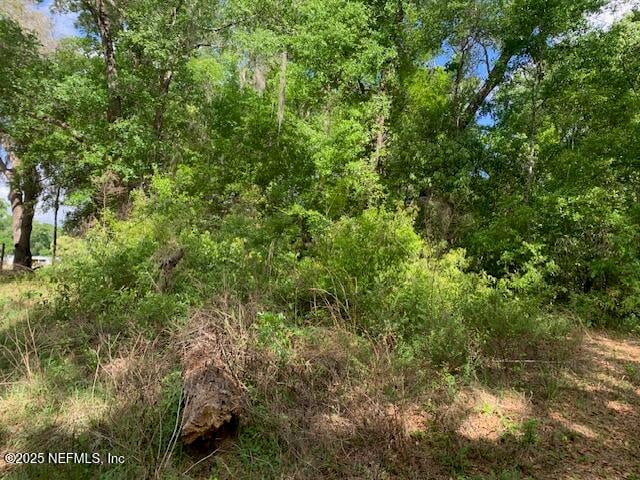 000 Dorothy St, Interlachen, FL 32148