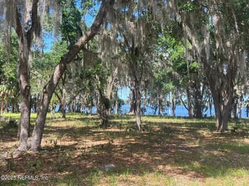 762 National Forest Road 75g Rd, Palatka, FL 32177
