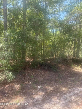 303 Hickory Nut Trl, Satsuma, FL 32189