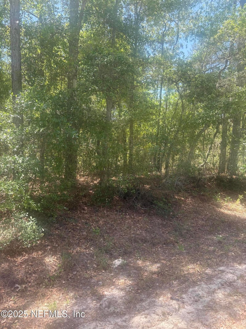 303 Hickory Nut Trl, Satsuma, FL 32189