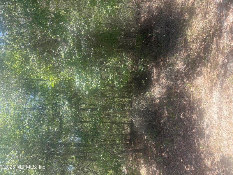 303 Hickory Nut Trl, Satsuma, FL 32189