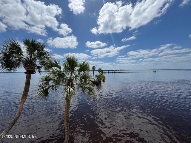 2199 Astor St #205, Orange Park, FL 32073