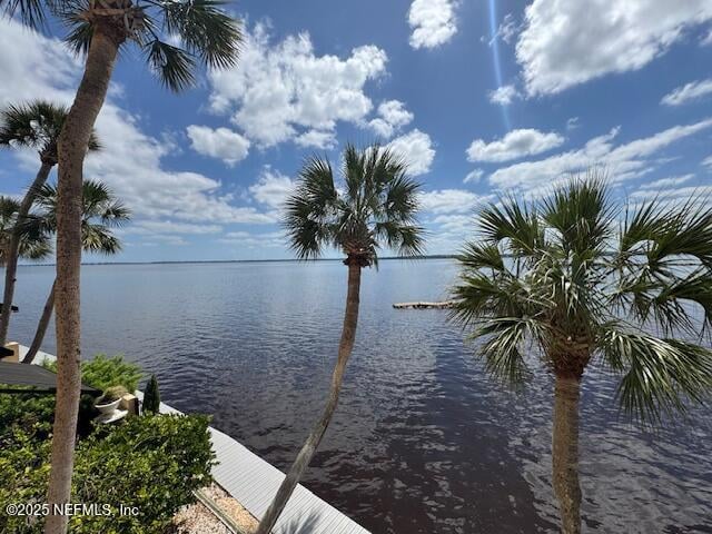 2199 Astor St #205, Orange Park, FL 32073