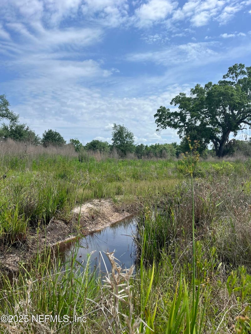 5950 Sweet Moody Rd, Green Cove Springs, FL 32043