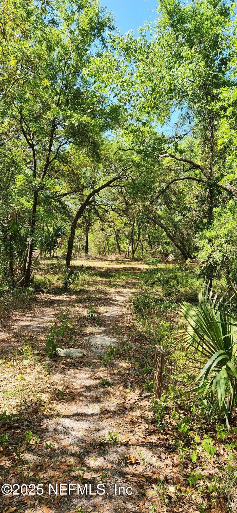 209 Mangrove St, Pomona Park, FL 32181