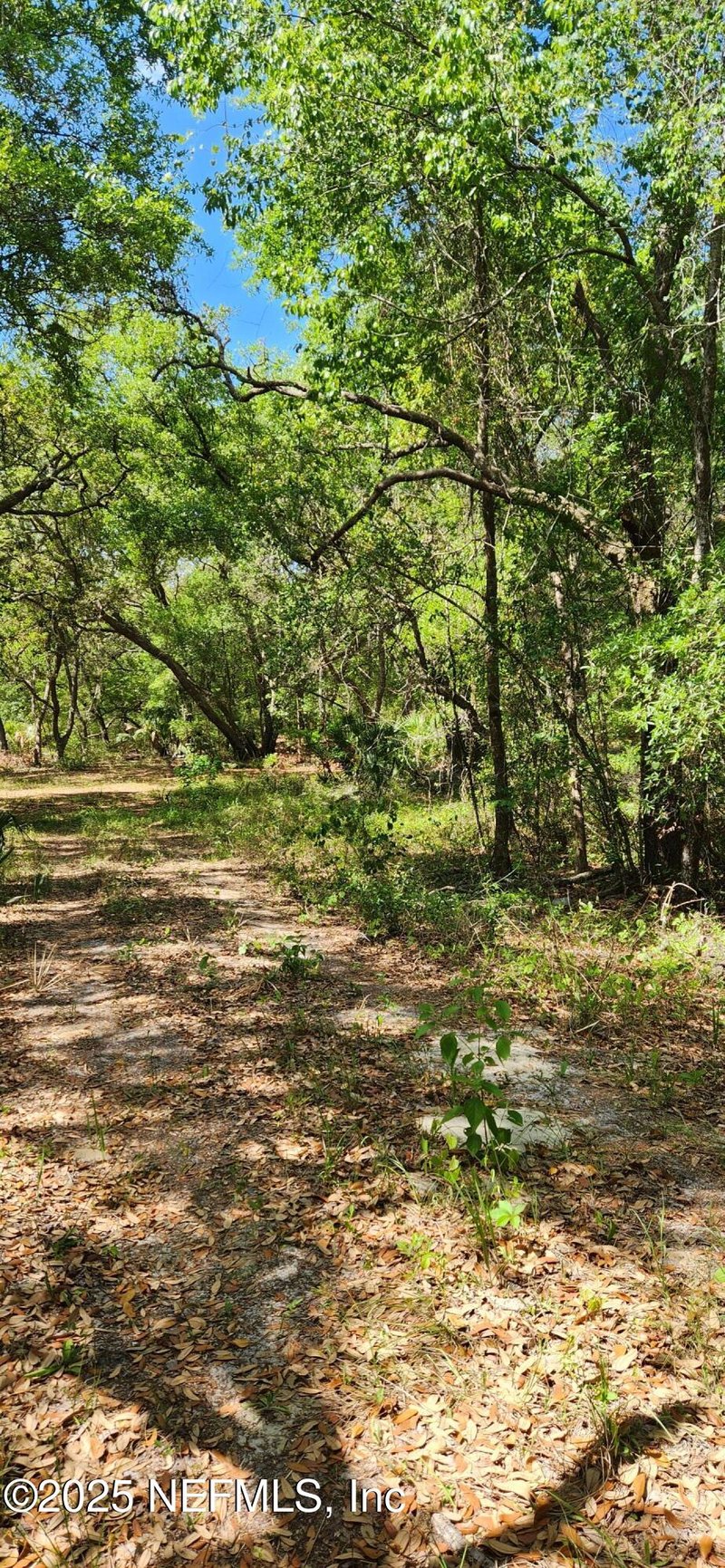 209 Mangrove St, Pomona Park, FL 32181