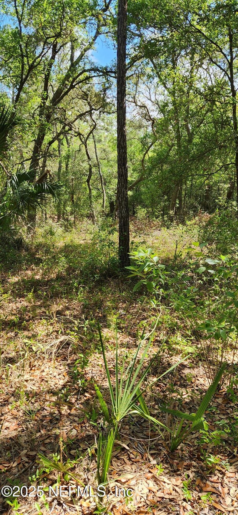 209 Mangrove St, Pomona Park, FL 32181