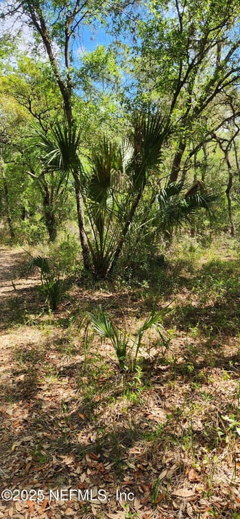 209 Mangrove St, Pomona Park, FL 32181