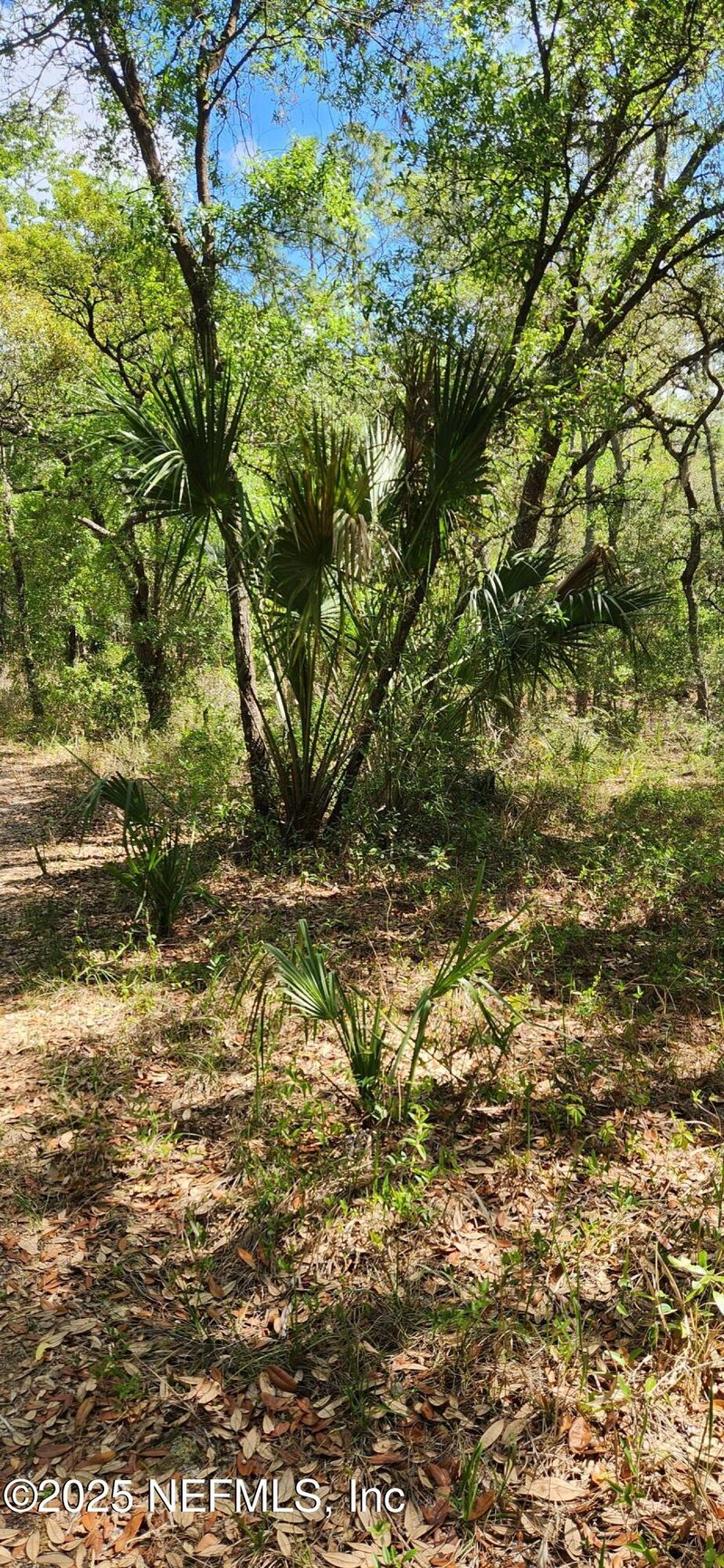 209 Mangrove St, Pomona Park, FL 32181