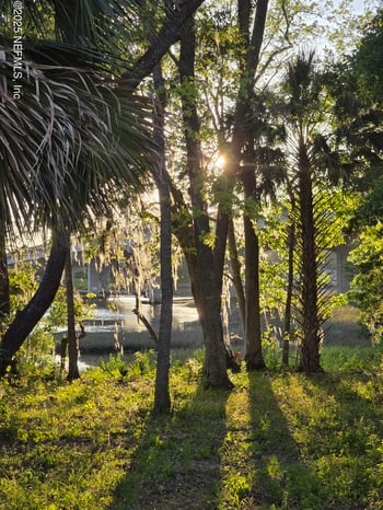 13447 Nottingham Knoll Ct, Jacksonville, FL 32225