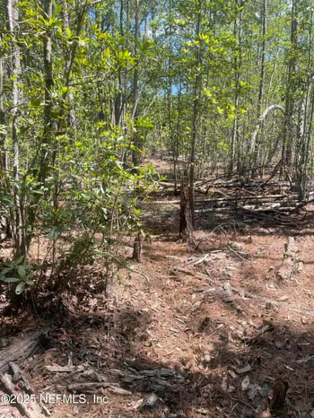 109 Arden St, Georgetown, FL 32139