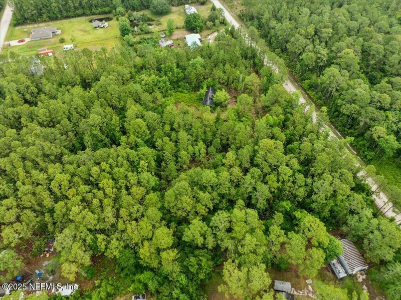 1756 Hazelnut St, Bunnell, FL 32110