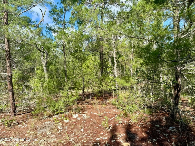 269 Alabama Dr, Hawthorne, FL 32640