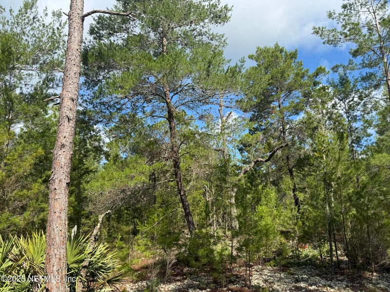 269 Alabama Dr, Hawthorne, FL 32640