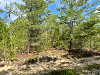 269 Alabama Dr, Hawthorne, FL 32640