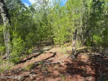 269 Alabama Dr, Hawthorne, FL 32640